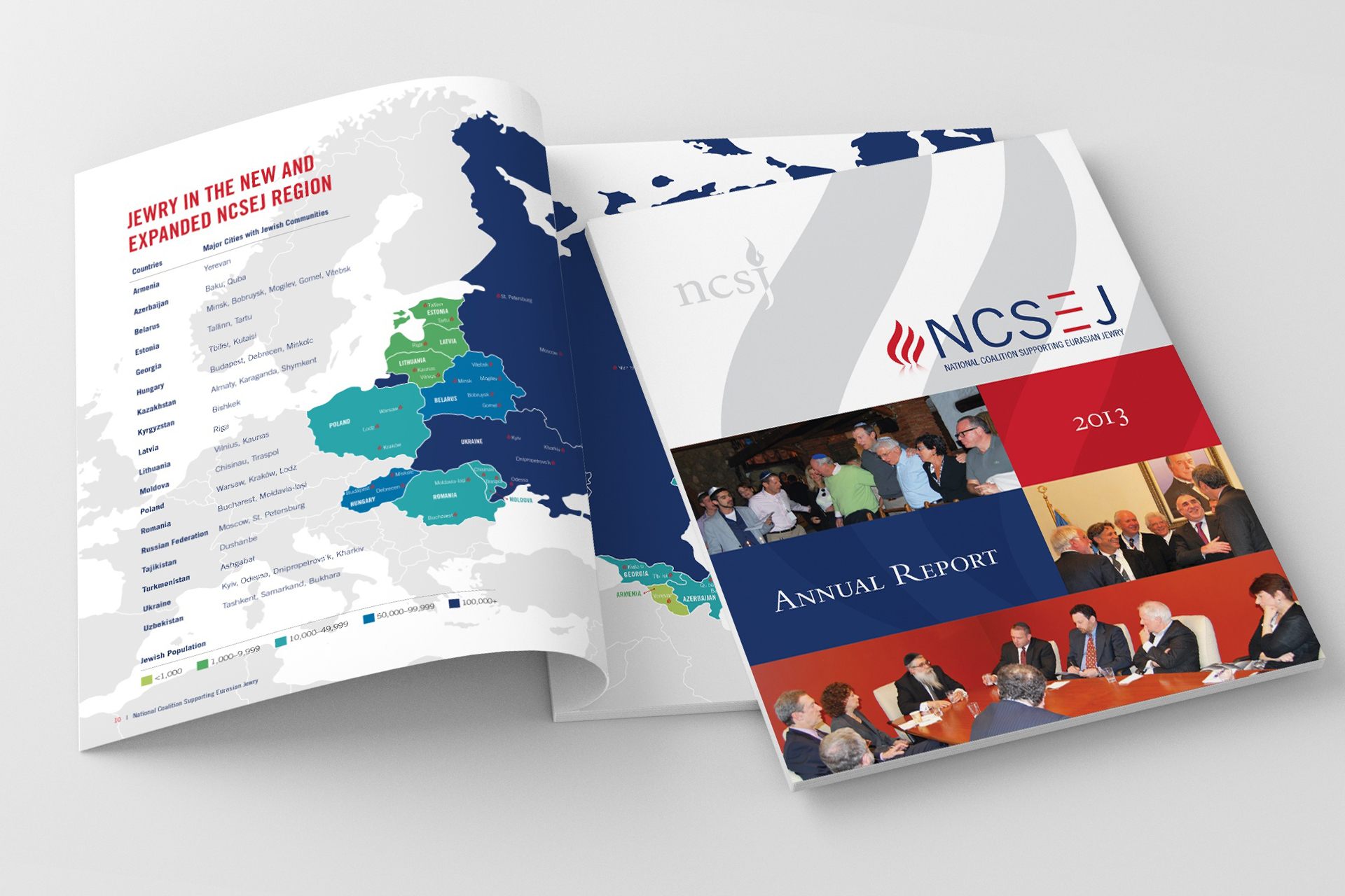 NCSEJ annual report design